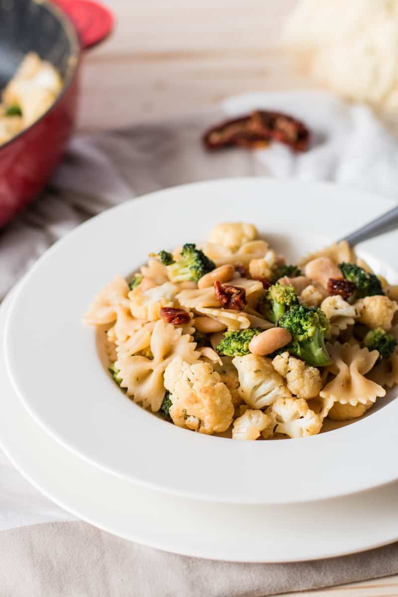frontal view on plate filled with pasta, broccoli, cauliflower and white beans