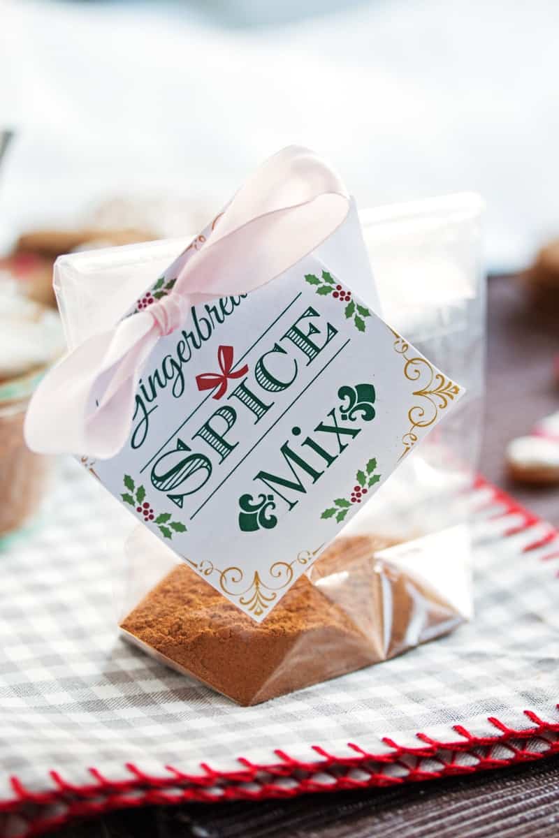 Homemade Gingerbread Hot Chocolate Mix Homemade Gingerbread Hot Chocolate Mix
