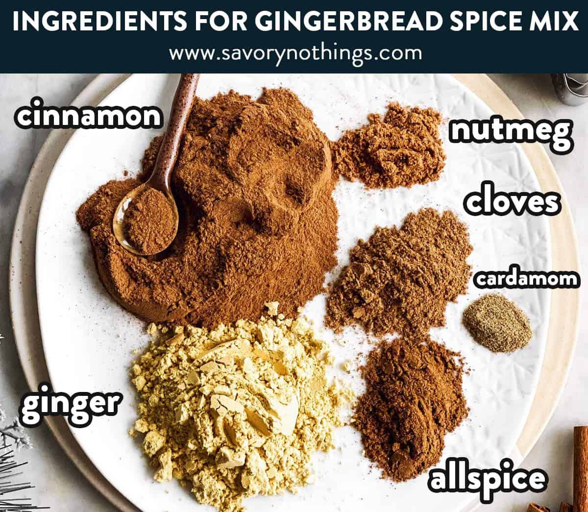 ingredients for gingerbread spice mix with text labels