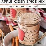 Apple Cider Spice Mix Pin 2