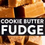 Cookie Butter Fudge Pin 1