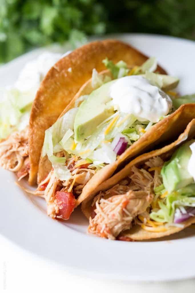 shredded chicken tacos on white plate