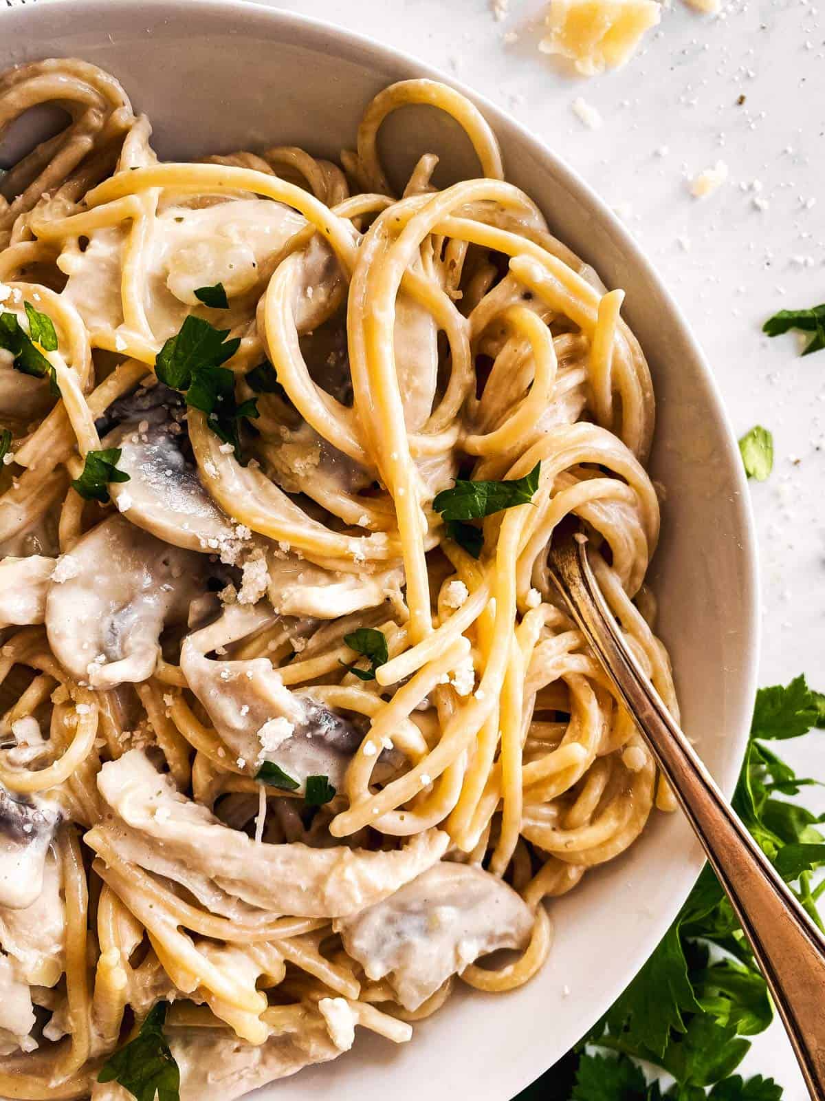 close up photo of turkey tetrazzini in white bowl