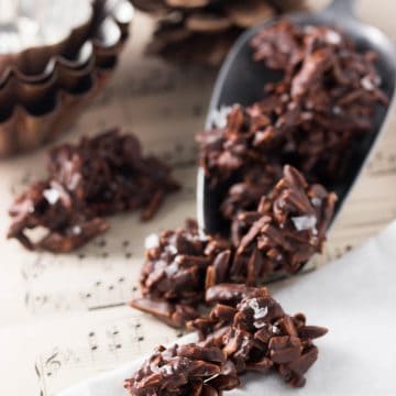 small aluminium scoop with chocolate covered almonds in front of pine cone