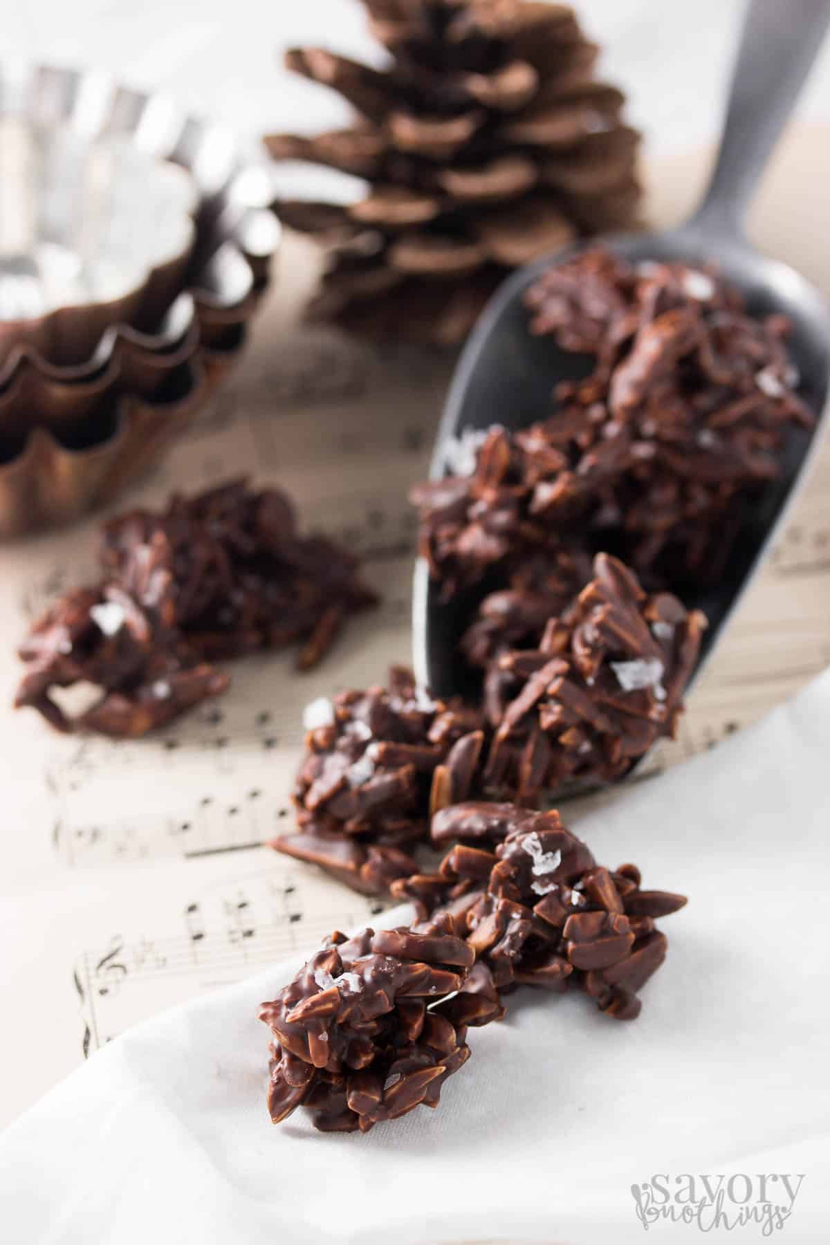 small aluminium scoop with chocolate covered almonds in front of pine cone