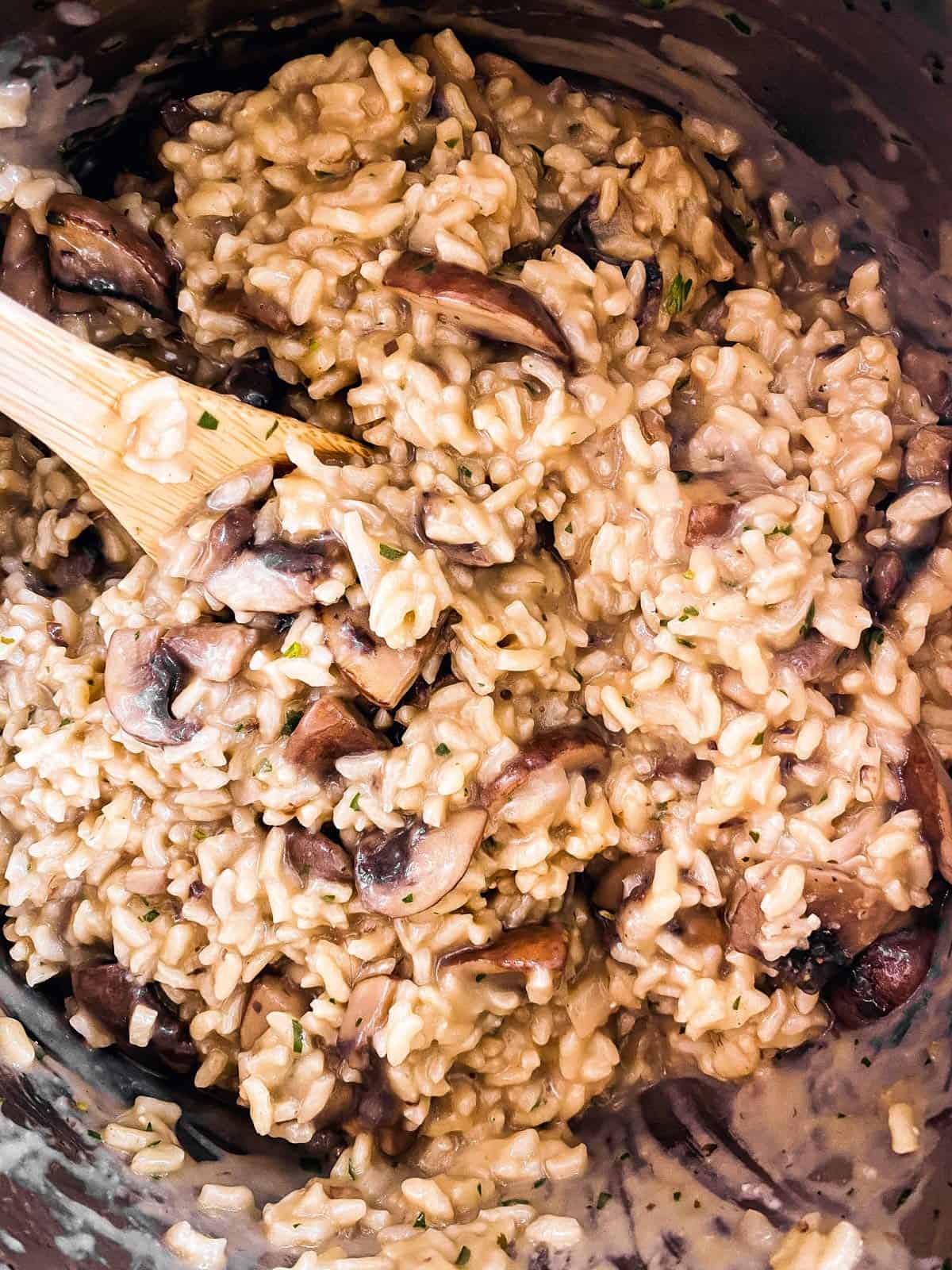 close up photo of mushroom risotto