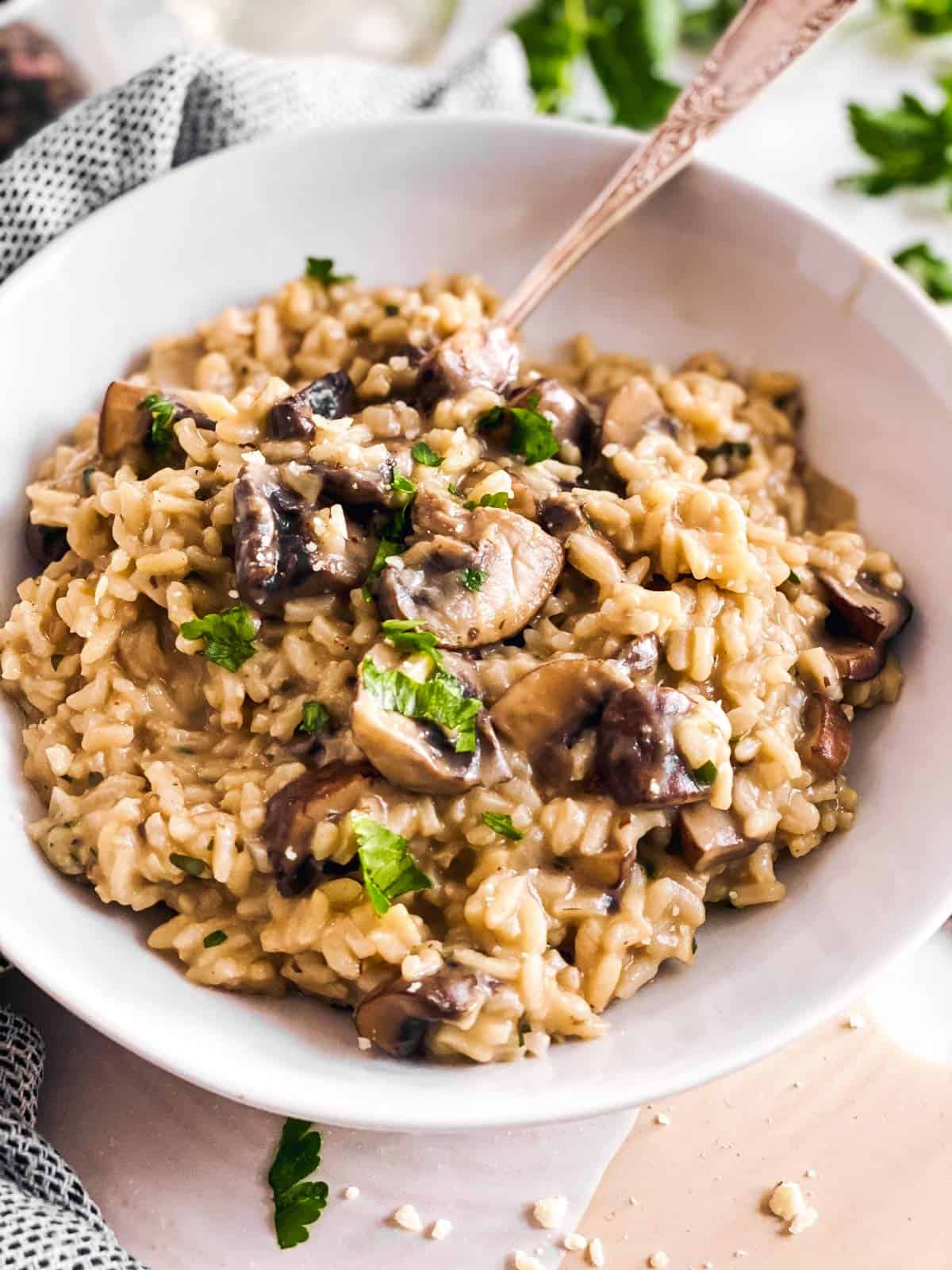 frontal view of white plate with mushroom risotto