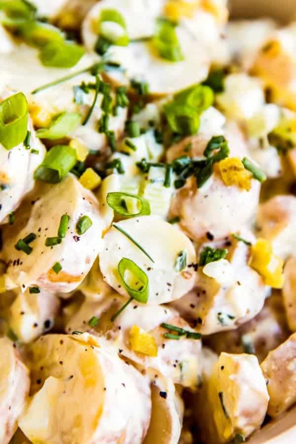 close up photo of creamy greek potato salad