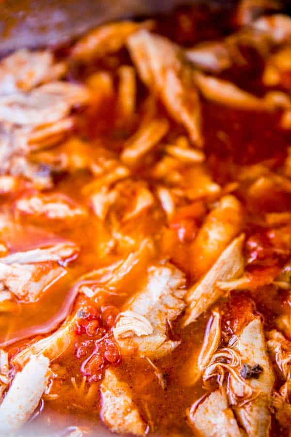 close up photo of instant pot salsa chicken
