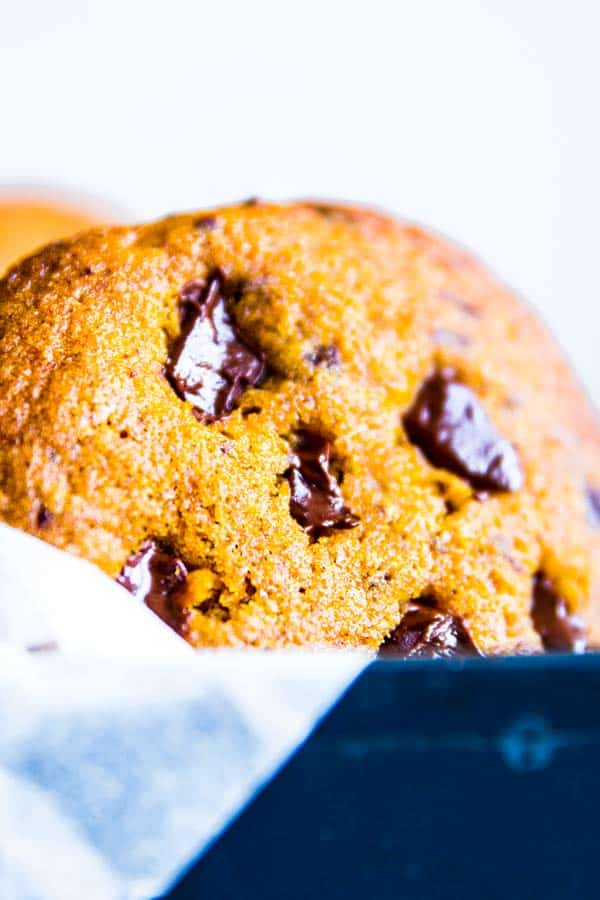 pumpkin chocolate chip cookie in a box