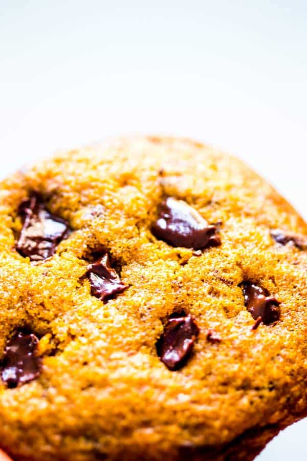 close up photo of pumpkin chocolate chip cookie