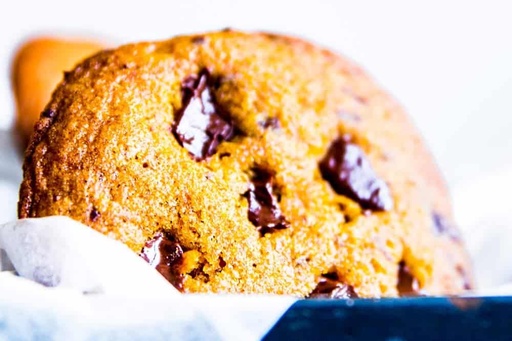 Pumpkin Chocolate Chip Cookies - Savory Nothings