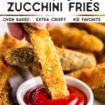 Parmesan Zucchini Fries Pin 2