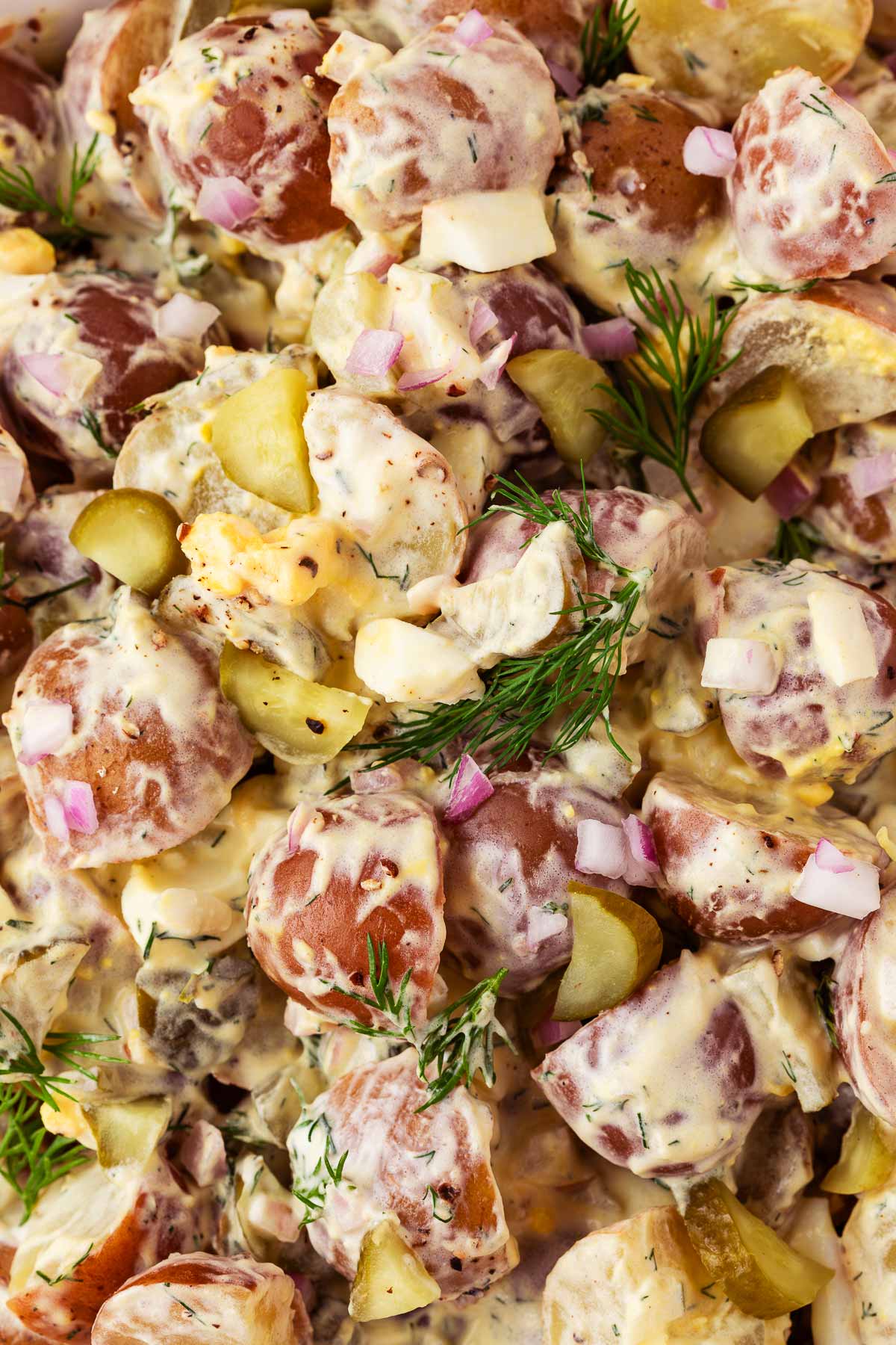 close up of dil pickle potato salad