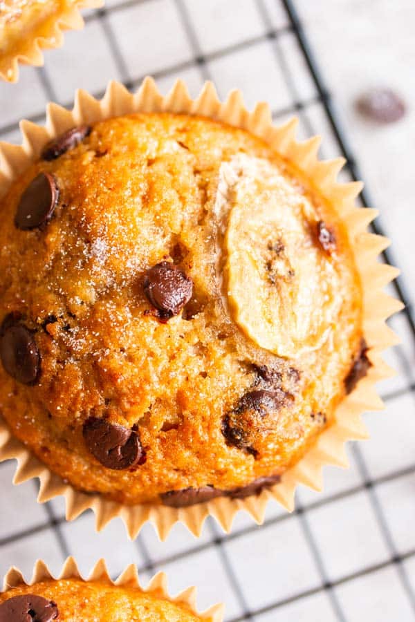 close up photo of a chocolate chip banana muffin