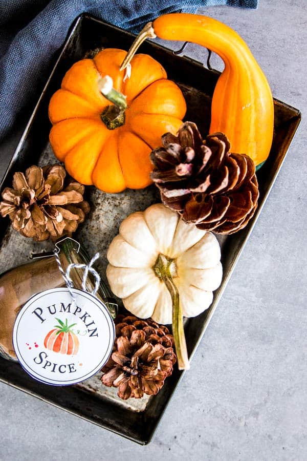 steel platter with pumpkins and a jar of pumpkin spice mix