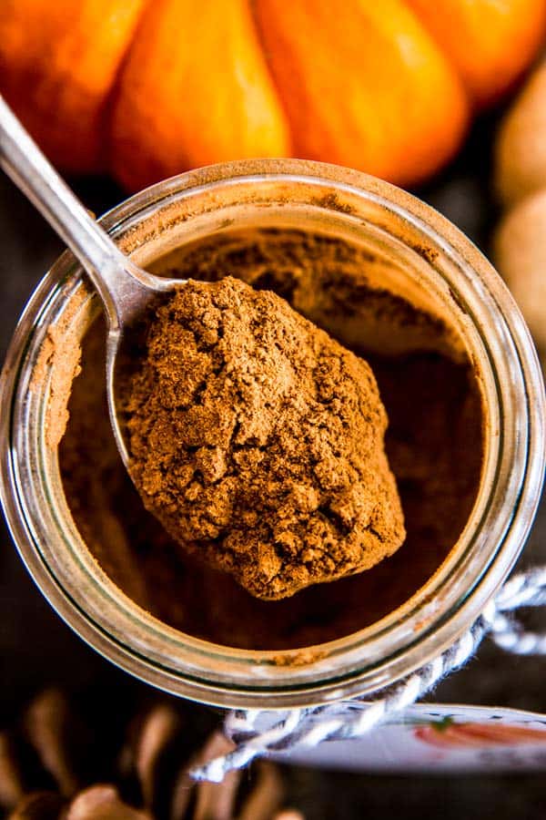 spoonful of pumpkin spice mix