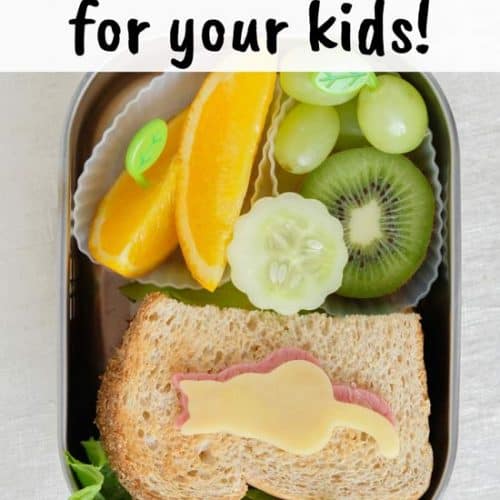 Best Kids Lunch Boxes for School Pin 1