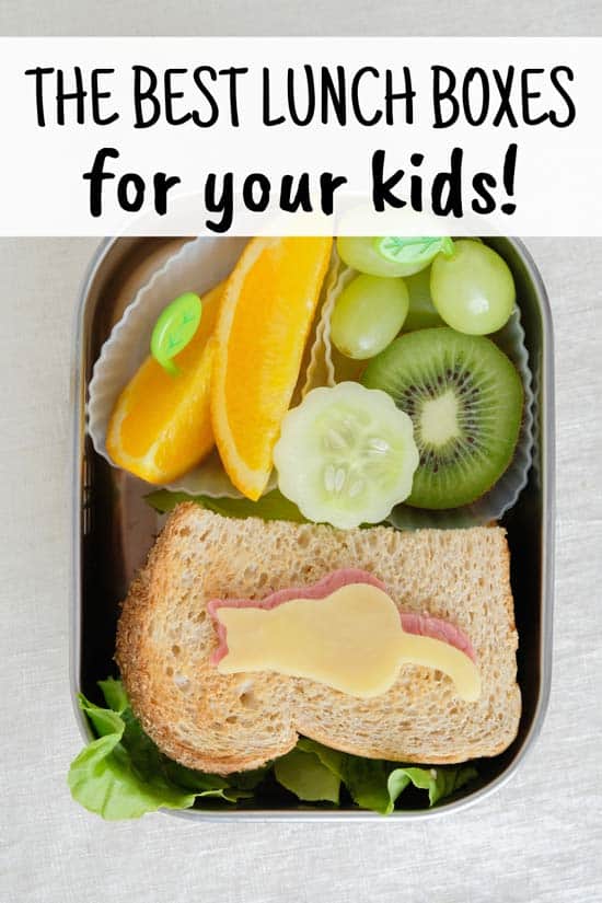 Best Kids Lunch Boxes for School Pin 1