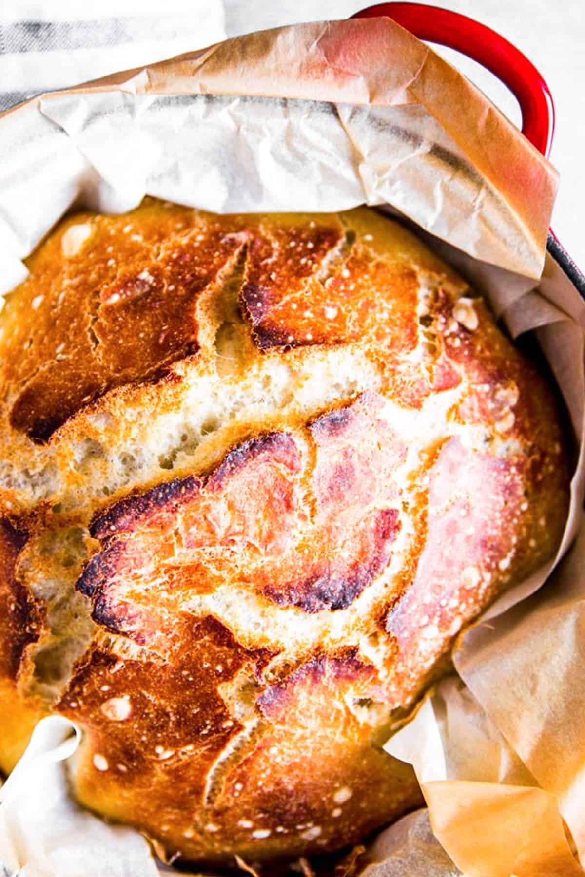 crust of bread close up