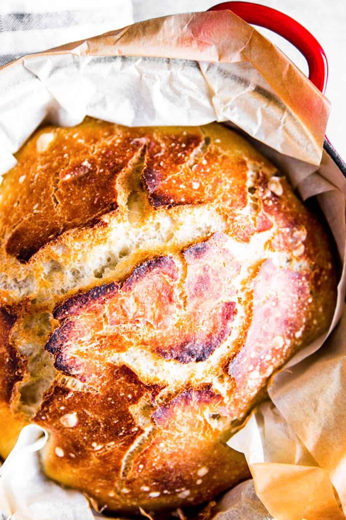 https://www.savorynothings.com/wp-content/uploads/2019/09/no-knead-bread-recipe-image-2.jpg