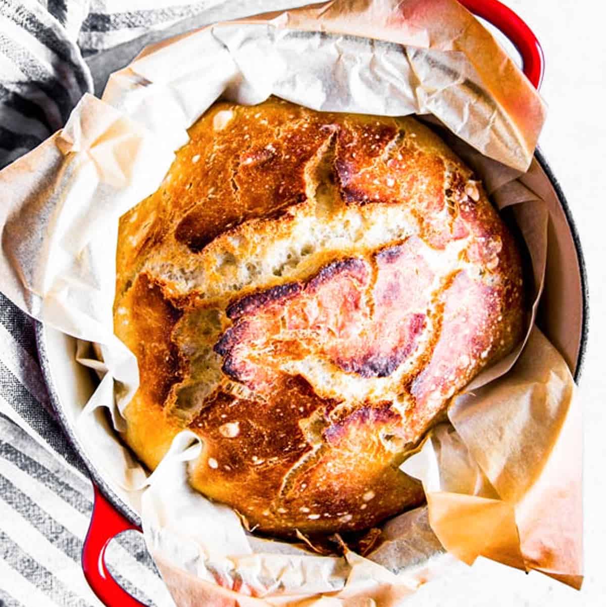 https://www.savorynothings.com/wp-content/uploads/2019/09/no-knead-bread-recipe-image-sq.jpg