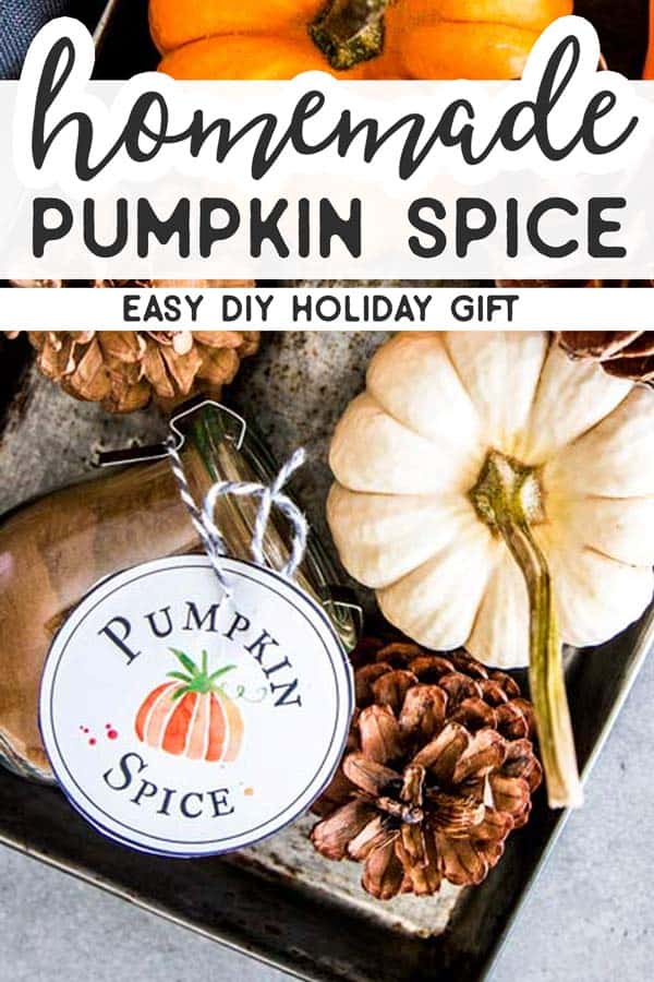 Pumpkin Spice Pin 2