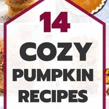 Canned Pumpkin Recipes Image; overlay says "14 cozy pumpkin recipes"