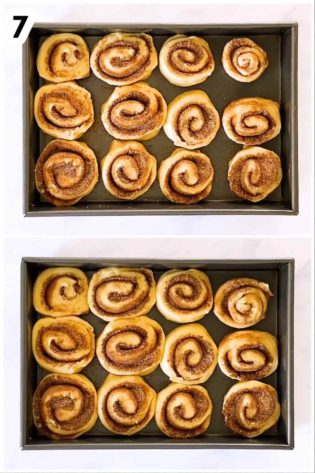 photo collage to show second rise of cinnamon rolls