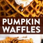 These simple homemade pumpkin waffles definitely need to happen in your waffle maker this autumn! The recipe makes a quick batter from scratch for an easy fall breakfast. Bake to crispy and fluffy perfection in your waffle iron, then load them with your favorite healthy toppings for breakfast (or ice cream for dessert!). The best! | #waffles #breakfast #fall #pumpkin #recipe #easyrecipes #breakfastrecipes #brunch #fallrecipes #pumpkinrecipes #halloween #thanksgiving #backtoschool #autumn