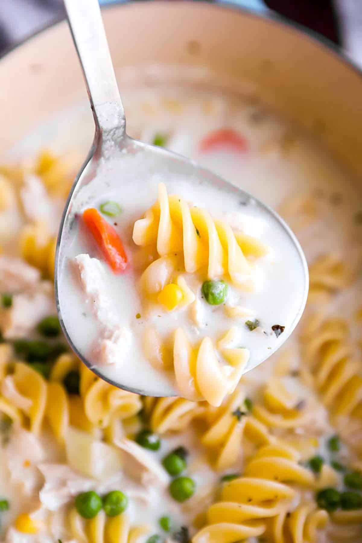 ladle with creamy  chicken noodle soup