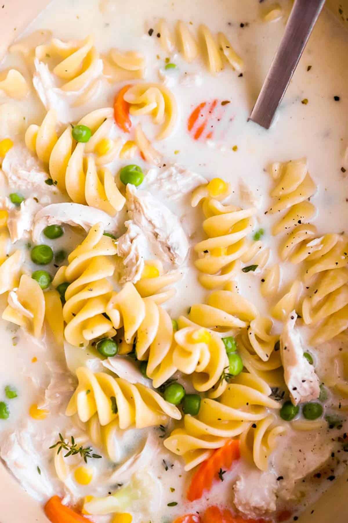 close up photo of creamy chicken noodle soup