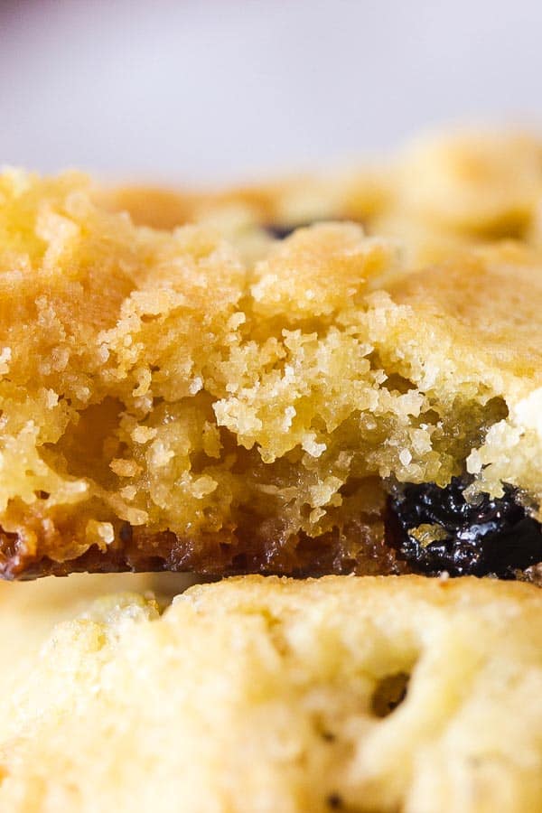 close up crop of the fudgy inside of a white choc cranberry cookie