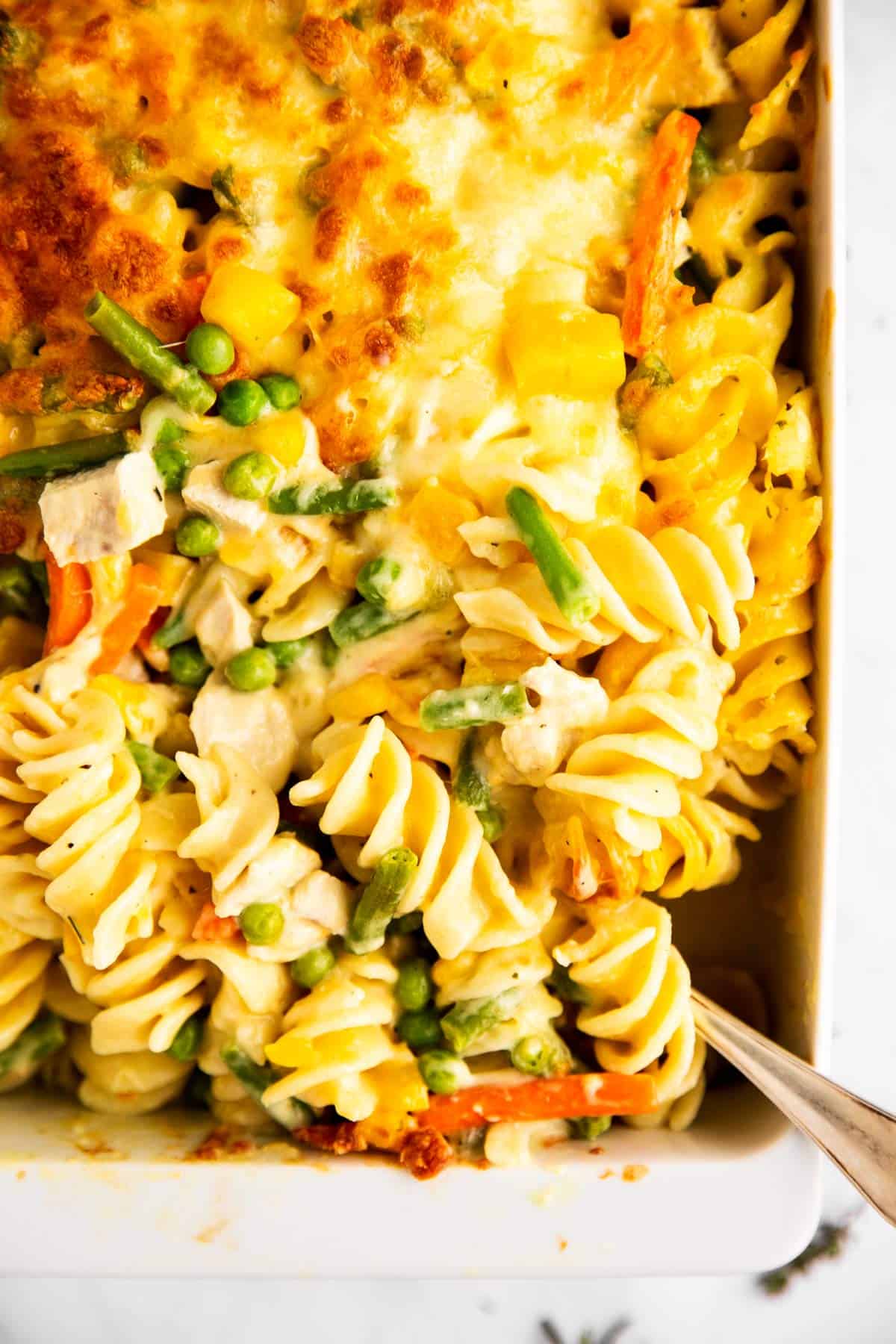 close up photo of a white casserole dish with turkey noodle casserole