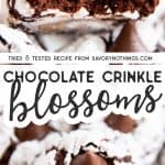 Chocolate Crinkle Blossoms Image Pin