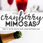 Cranberry Mimosa Image Pin