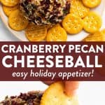 Cranberry Pecan Cheeseball Pin 3