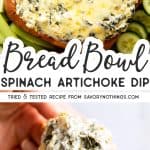 Spinach Artichoke Dip Image Pin
