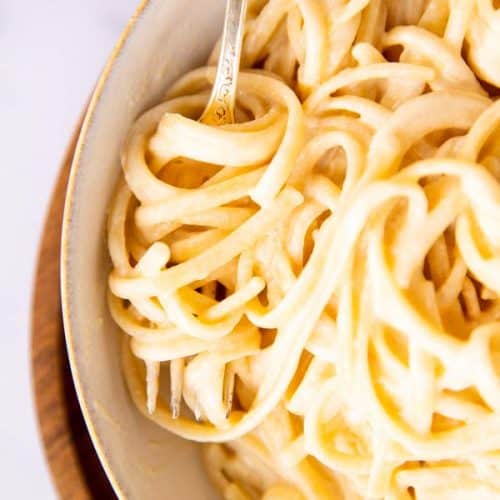 close up view of a bowl with fettuccine alfredo