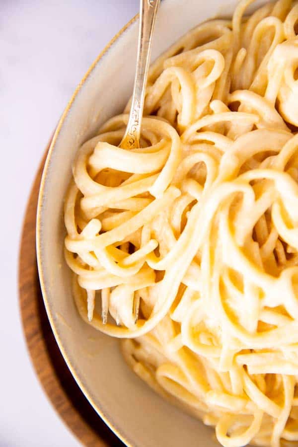close up view of a bowl with fettuccine alfredo