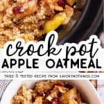 Crockpot Apple Cinnamon Oatmeal Pin