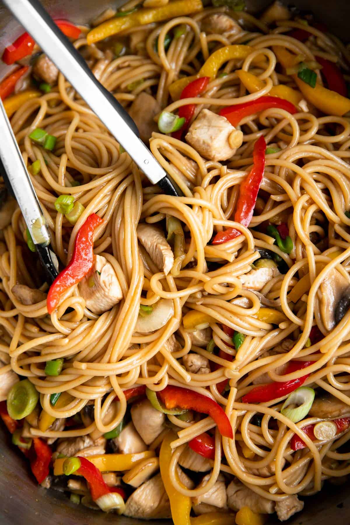 close up photo of chicken lo mein