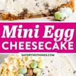 Mini Egg Cheesecake Image Pin