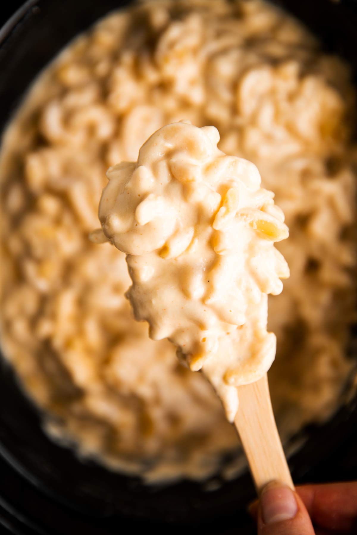 wooden spoon with macaroni and cheese