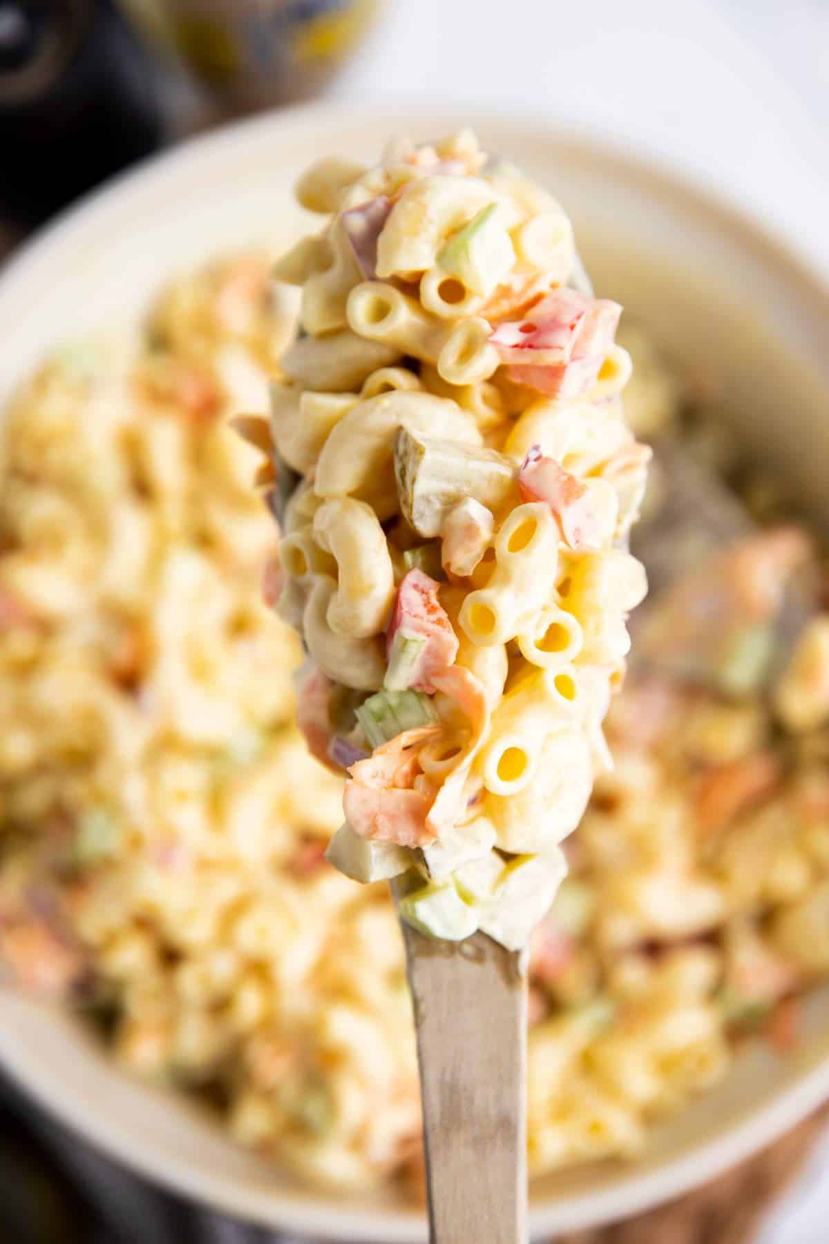 spoon with macaroni salad on top