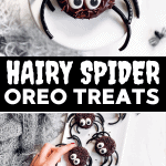 Spider Oreo Pin