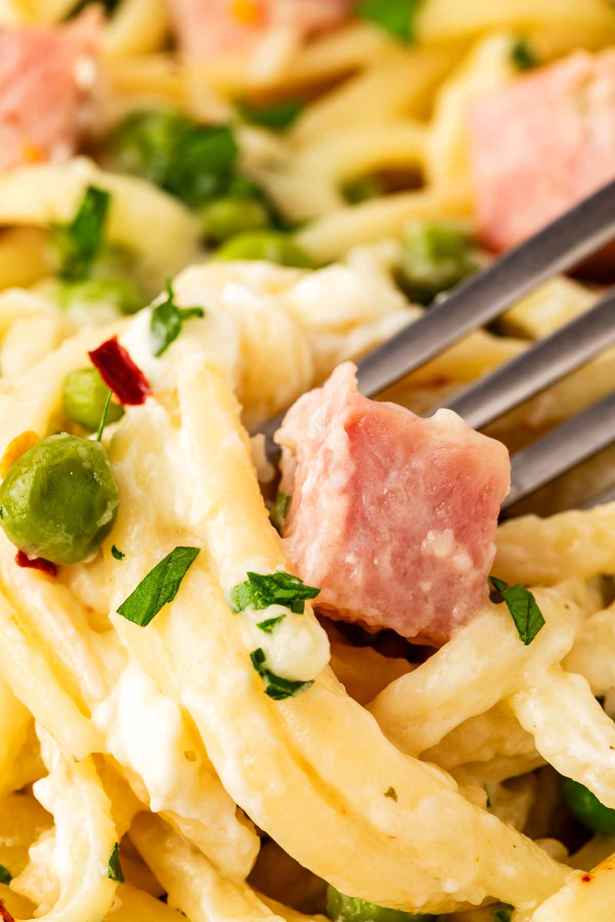 Close up photo of ham and pea pasta.