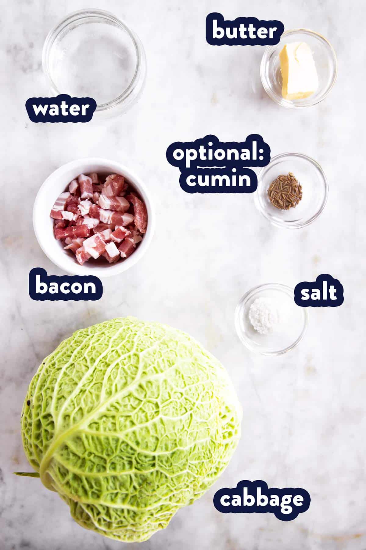 ingredients for braised cabbage with text labels