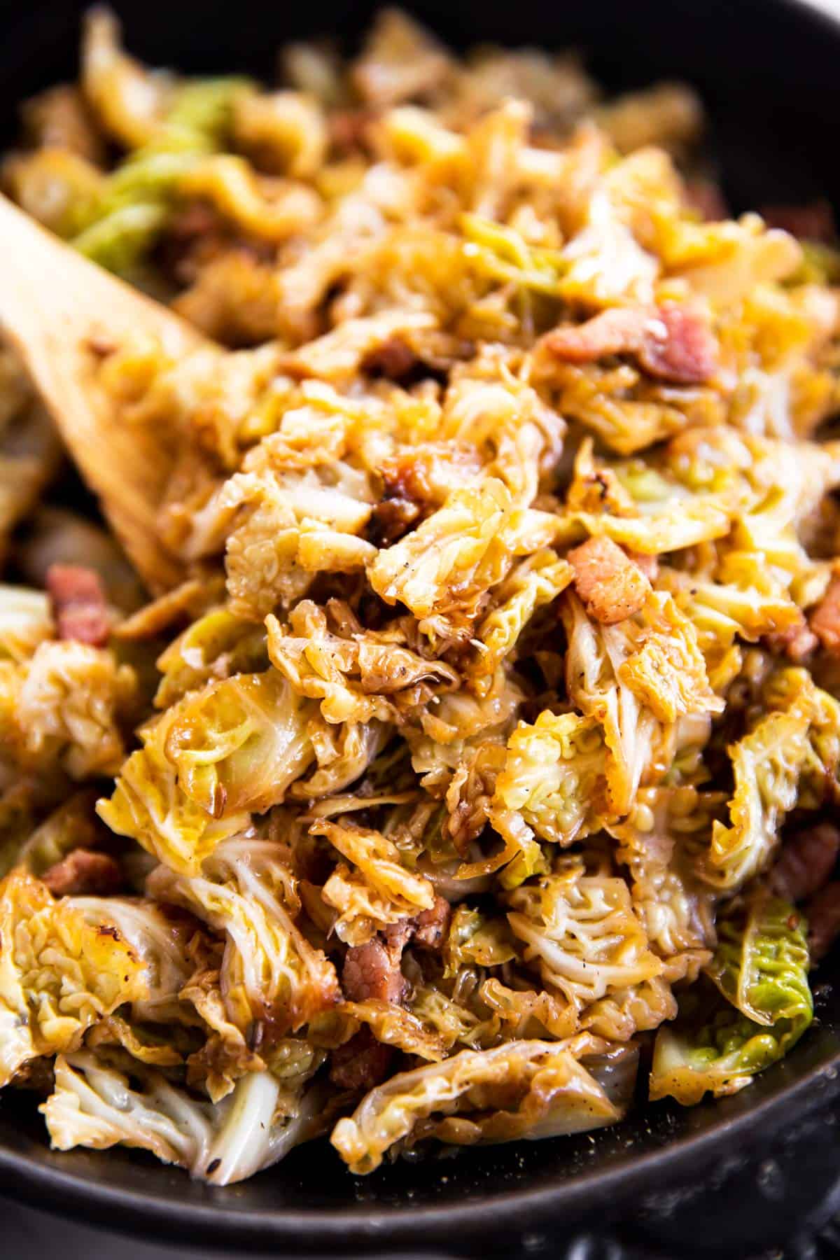 close up photo of braised cabbage