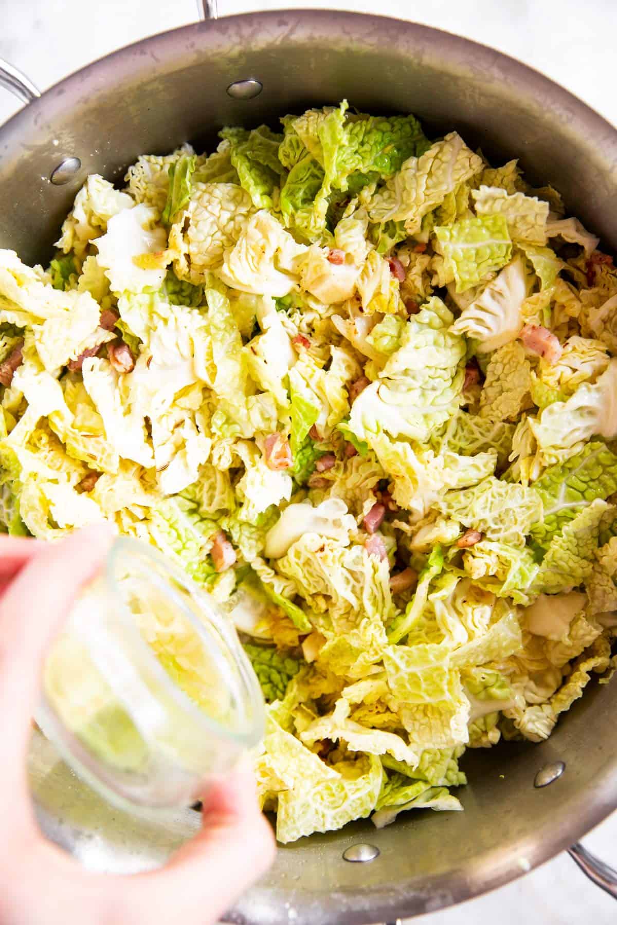 female hand pouring water into cabbage in skillet